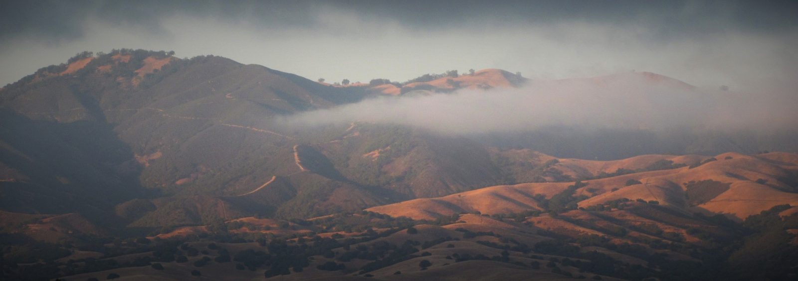 The Gabilan Range glowing at golden hour above the dry summer hills around Aromas, California.