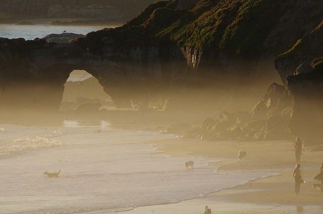 The arch at Natural Bridges